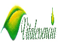 vitalessencia